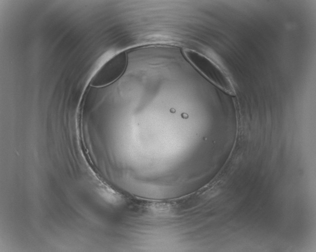 X0000078011291200611101811