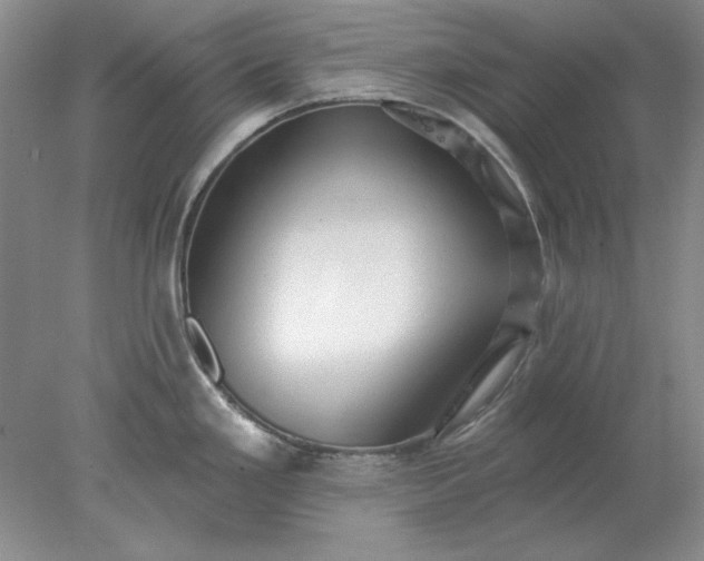 X0000078011293200611101811