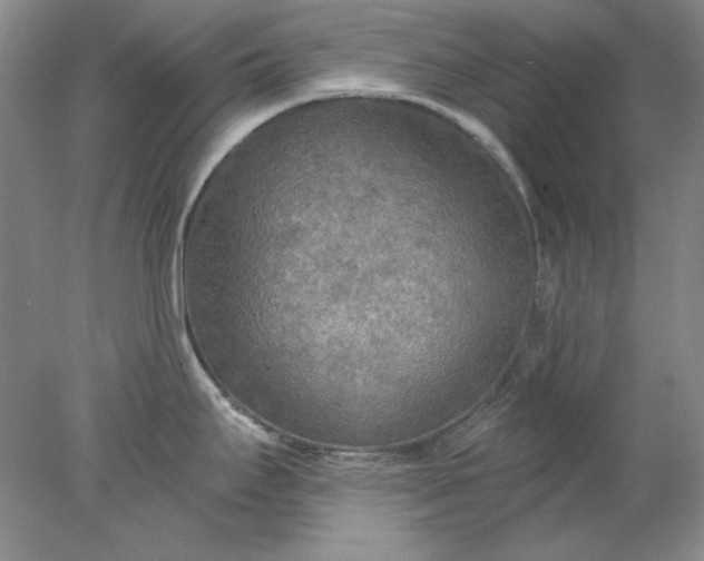 X0000078011295200611101811