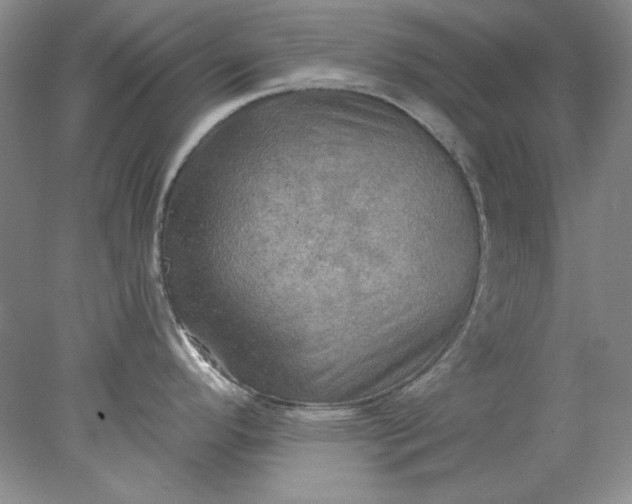 X0000078011296200611101811