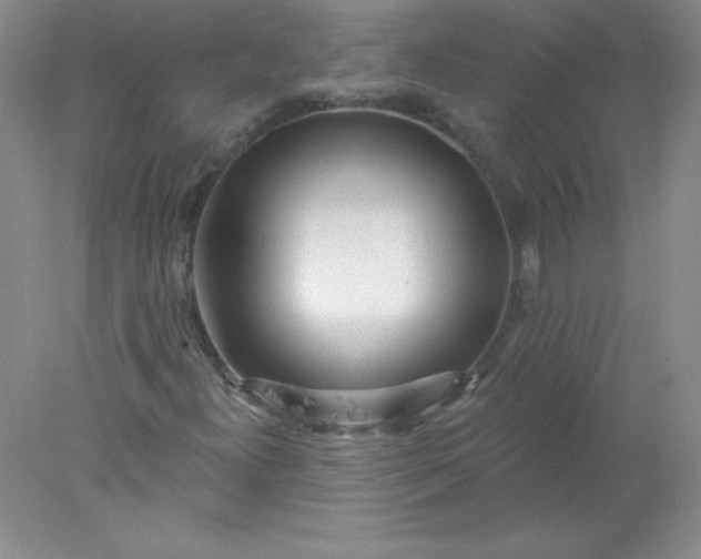 X0000078011300200611101810