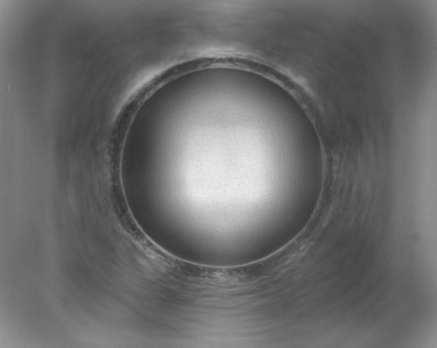 X0000078011311200611101810