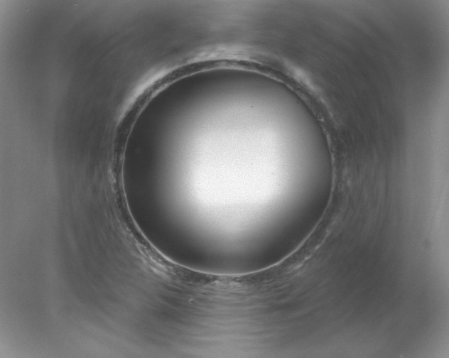 X0000078011312200611101810