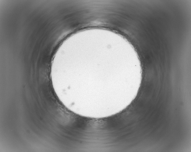X0000078011314200611101810