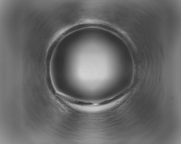 X0000078011319200611101810