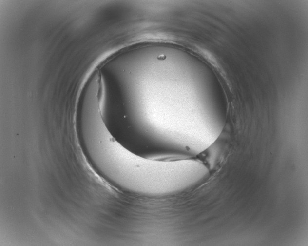 X0000078011331200611101811