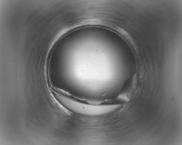 X0000078011334200611101811