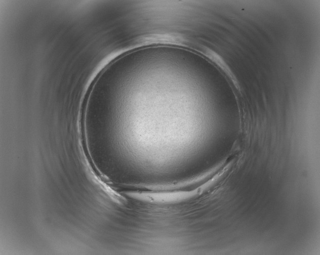 X0000078011339200611101811