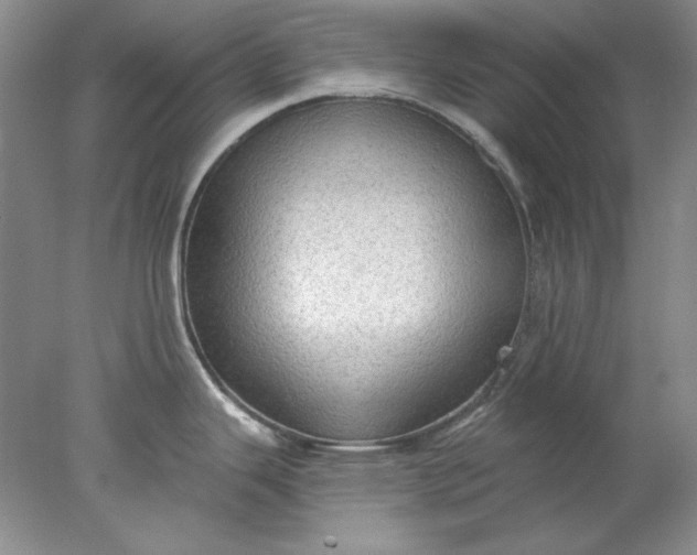 X0000078011343200611101811