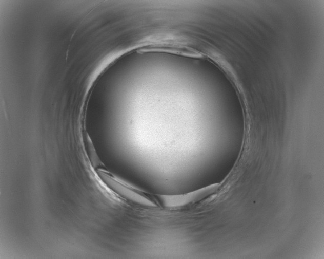 X0000078011344200611101811