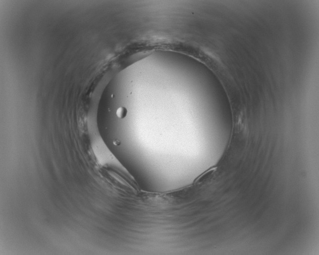 X0000078011348200611101810