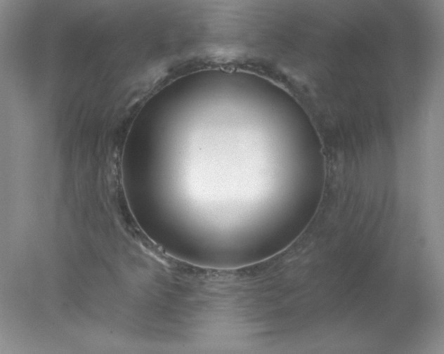 X0000078011349200611101810