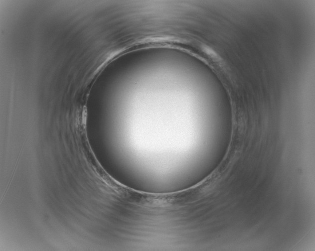 X0000078011361200611101810