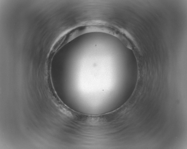 X0000078011364200611101810