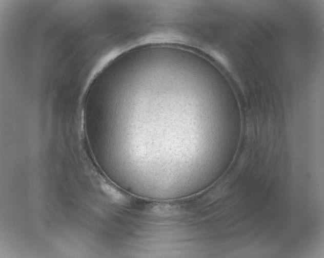 X0000078011366200611101810