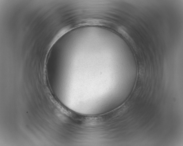 X0000078011378200611101809