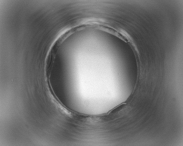 X0000078011384200611101809