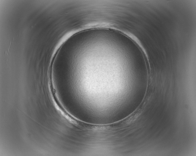 X0000078011389200611101809