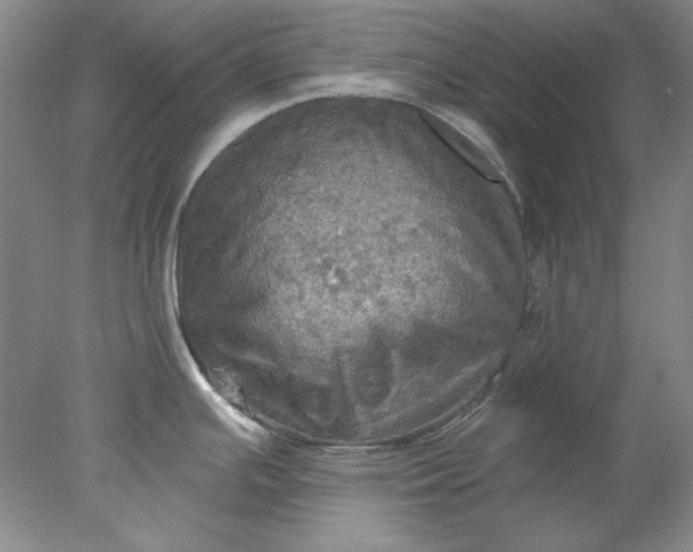 X0000078011391200611101809