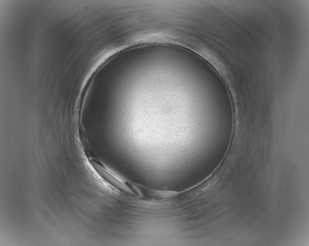 X0000078011392200611101809