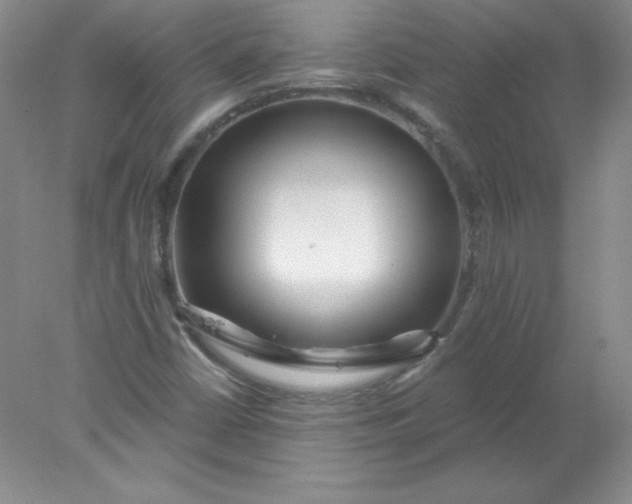 X0000078011402200611101809