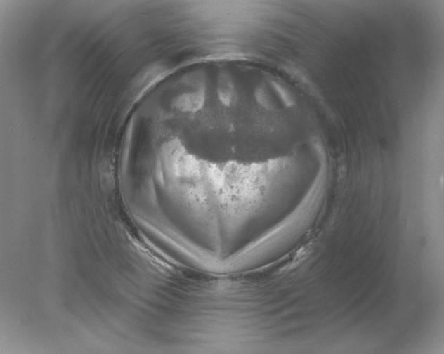 X0000078011409200611101809