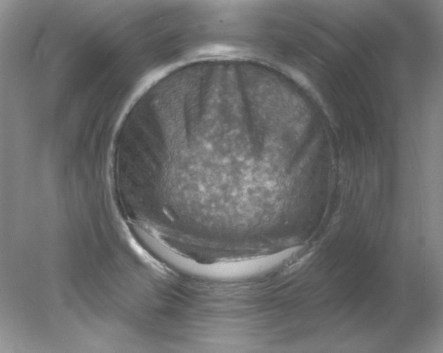 X0000078011421200611101809