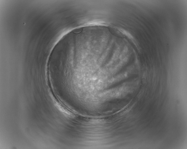 X0000078011423200611101809