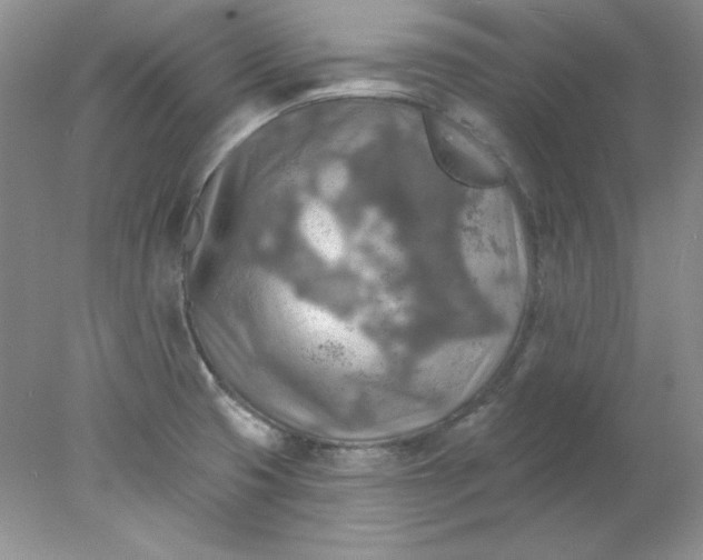 X0000078011425200611101809