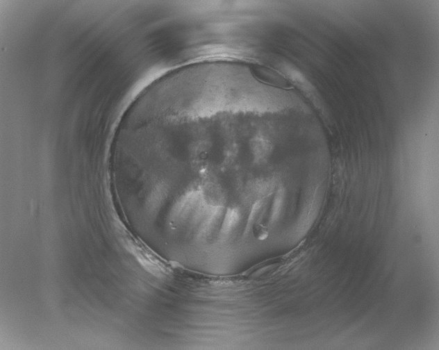 X0000078011427200611101809