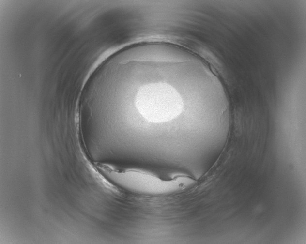 X0000078011428200611101809