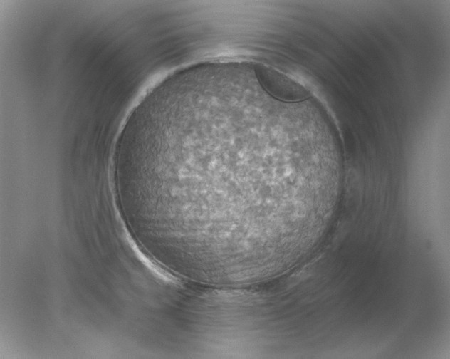 X0000078011429200611101809