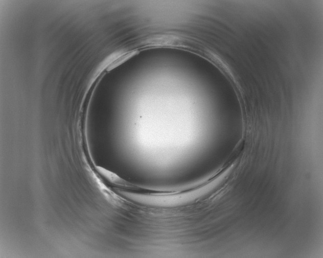 X0000078011434200611101809