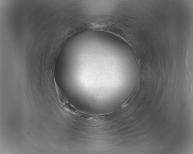 X0000078011441200611101808