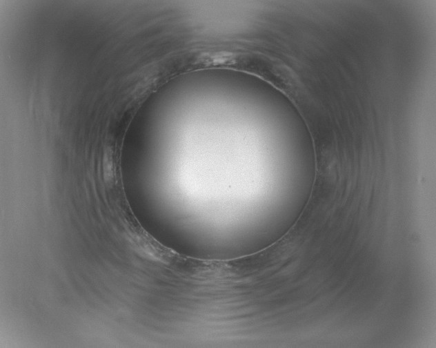 X0000078011442200611101808