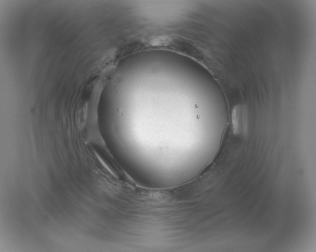X0000078011443200611101808