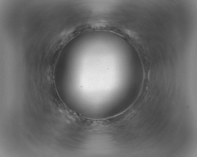 X0000078011445200611101808