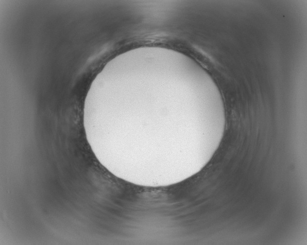 X0000078011447200611101808