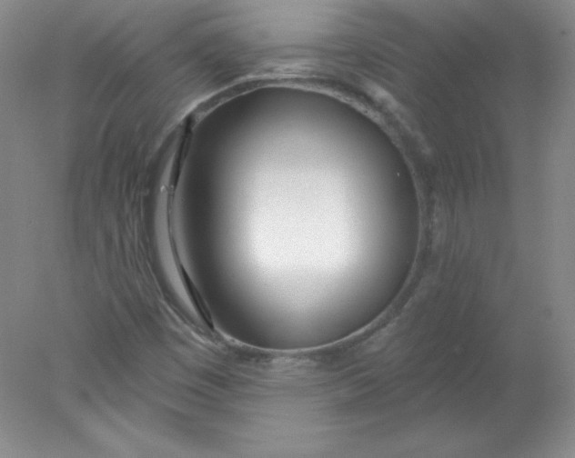 X0000078011449200611101808