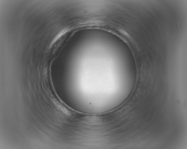 X0000078011450200611101808