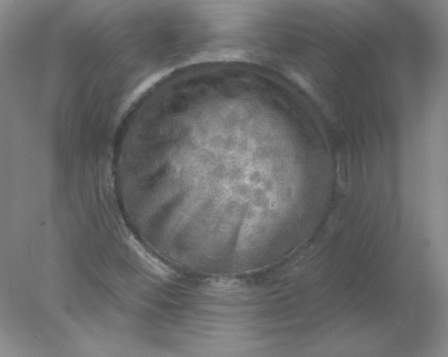 X0000078011452200611101808