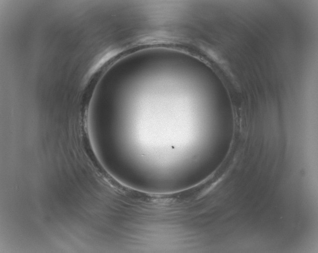 X0000078011453200611101808