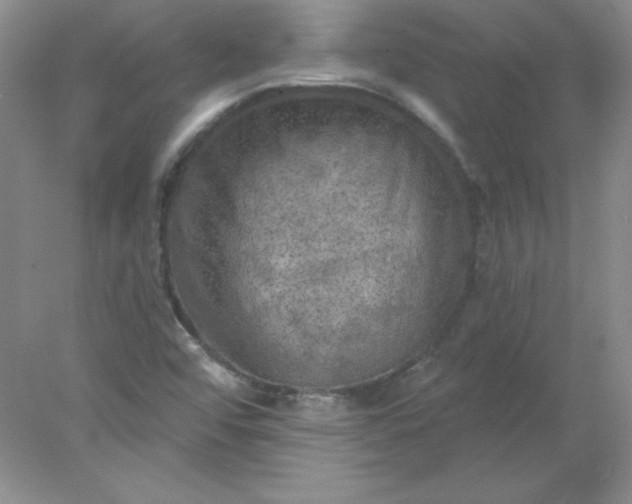 X0000078011456200611101808