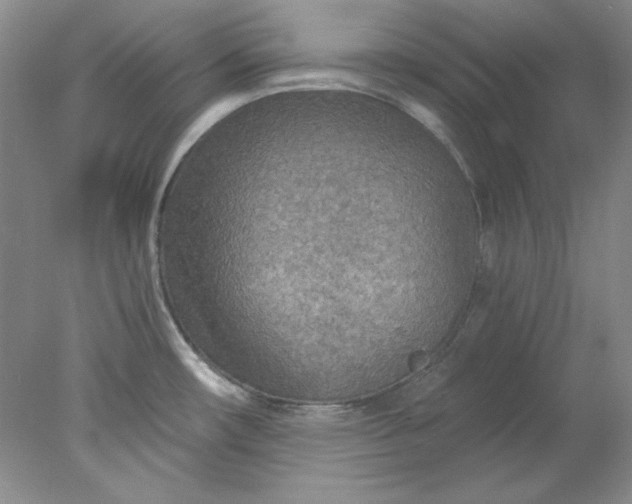 X0000078011482200611101808