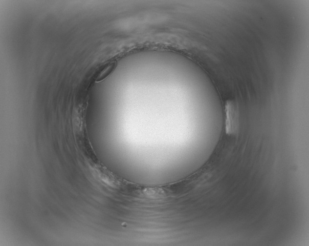 X0000078011491200611101807