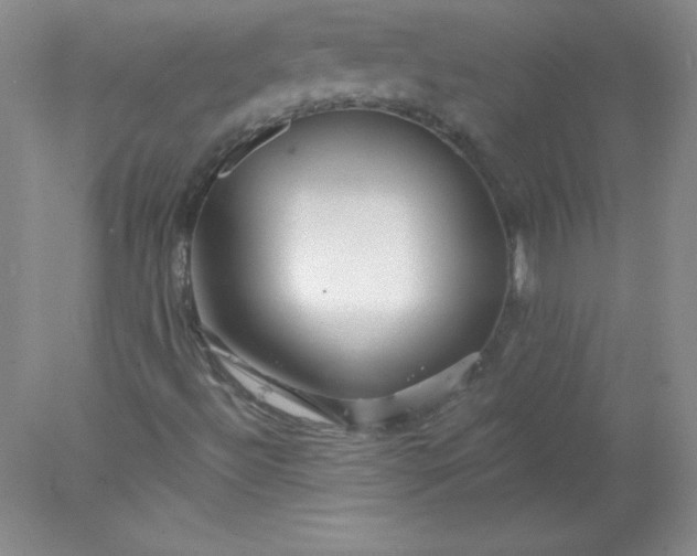 X0000078011492200611101807