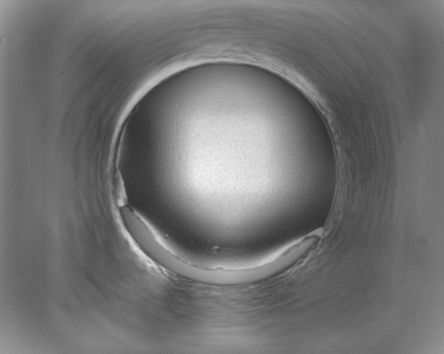 X0000078011536200611101808