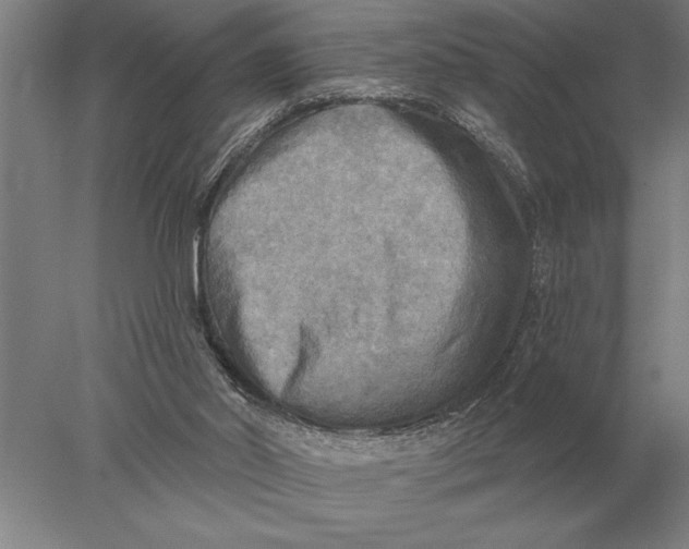 X0000078010014200611171858