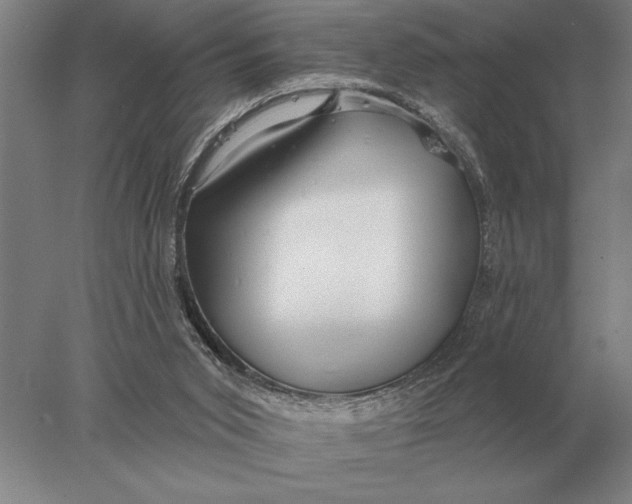 X0000078010015200611171858