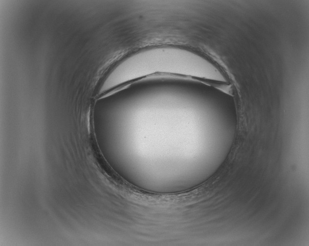 X0000078010019200611171858